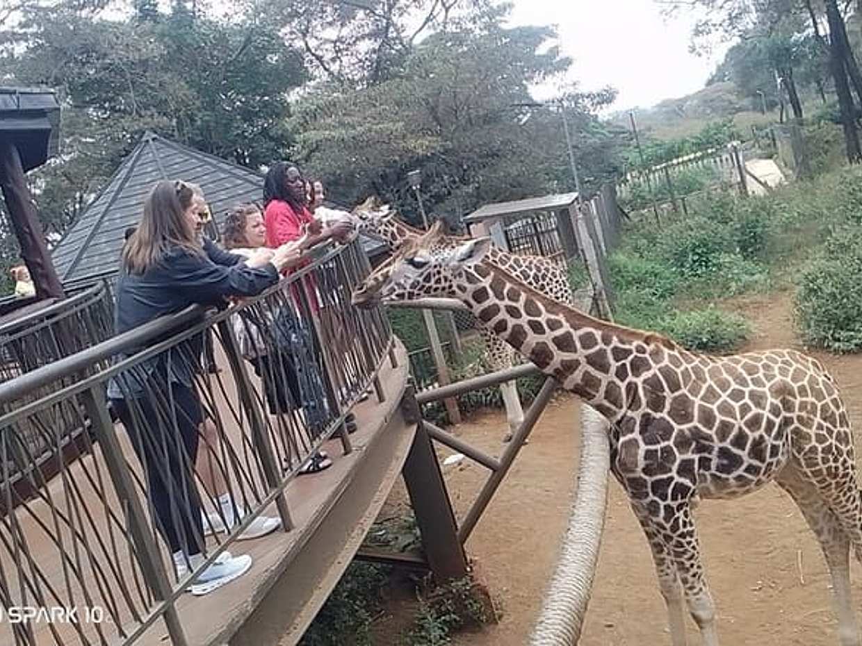 Giraffe Centre, Kazuri Beads Maasai Collection Shopping Excursion in Kenya, Nairobi, photo 2