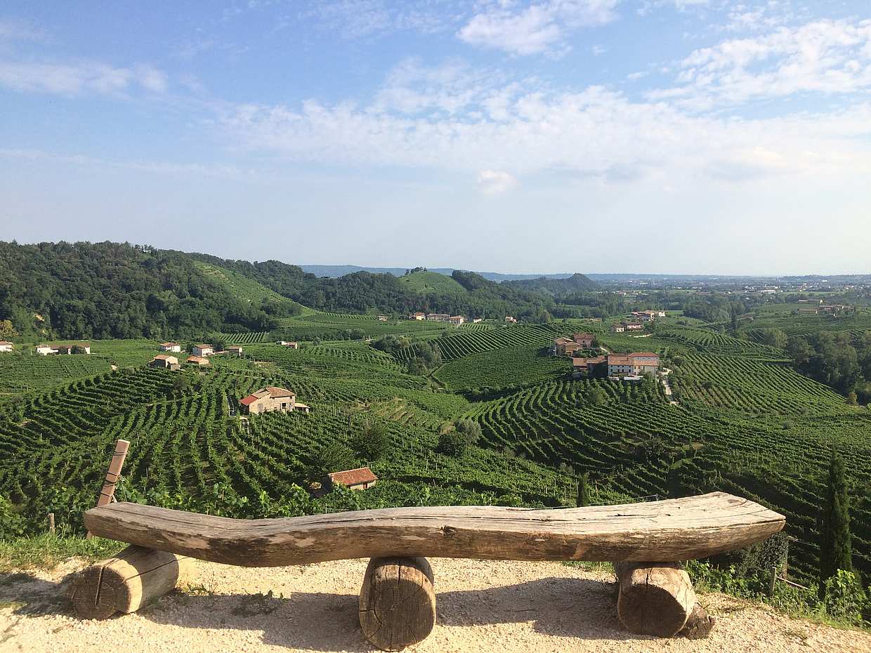 Prosecco Experience in Italy, Veneto, photo 2