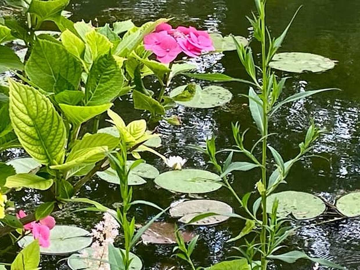 Private Giverny Versailles Trianon Trip from Paris with Lunch., photo 2