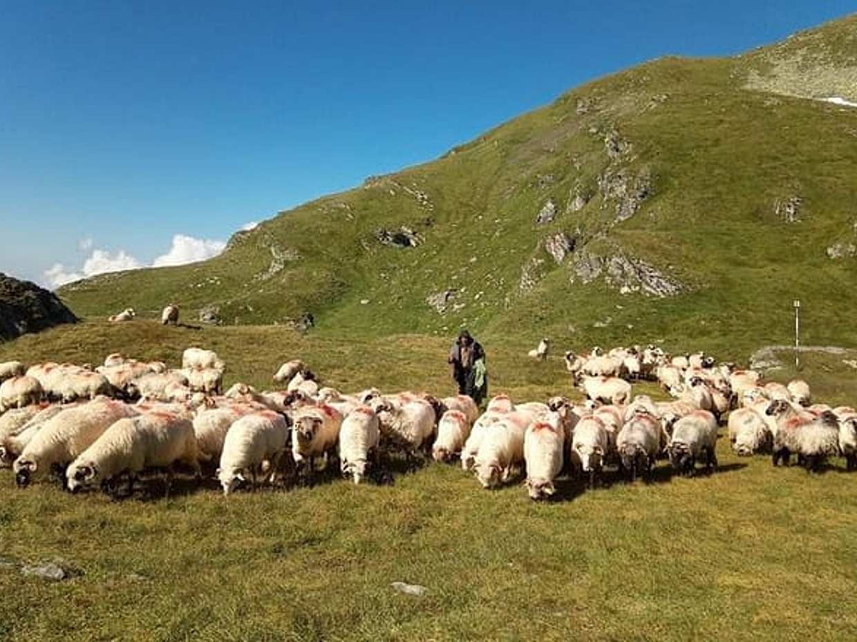 Expedição nas Montanhas Fagaras de Brasov (Tour Privado!) na Romênia, Brașov, photo 3