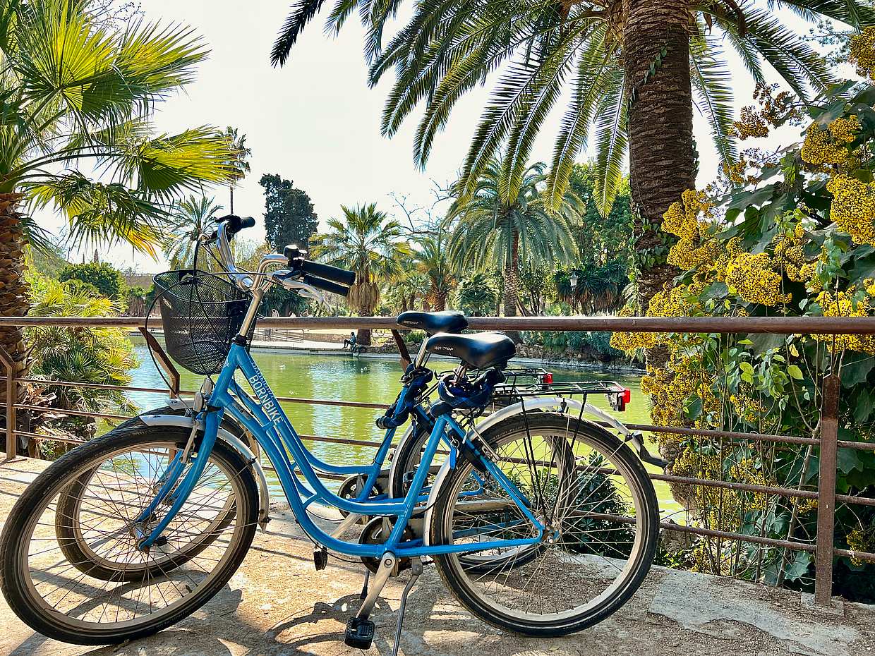 Barcelona: Tour Histórico en Bicicleta por España
, photo 3