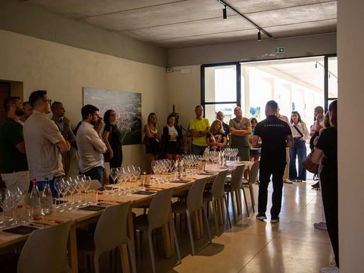 Wine Experience in Franciacorta: "Four Shades of Camilucci”, Italy, photo 3