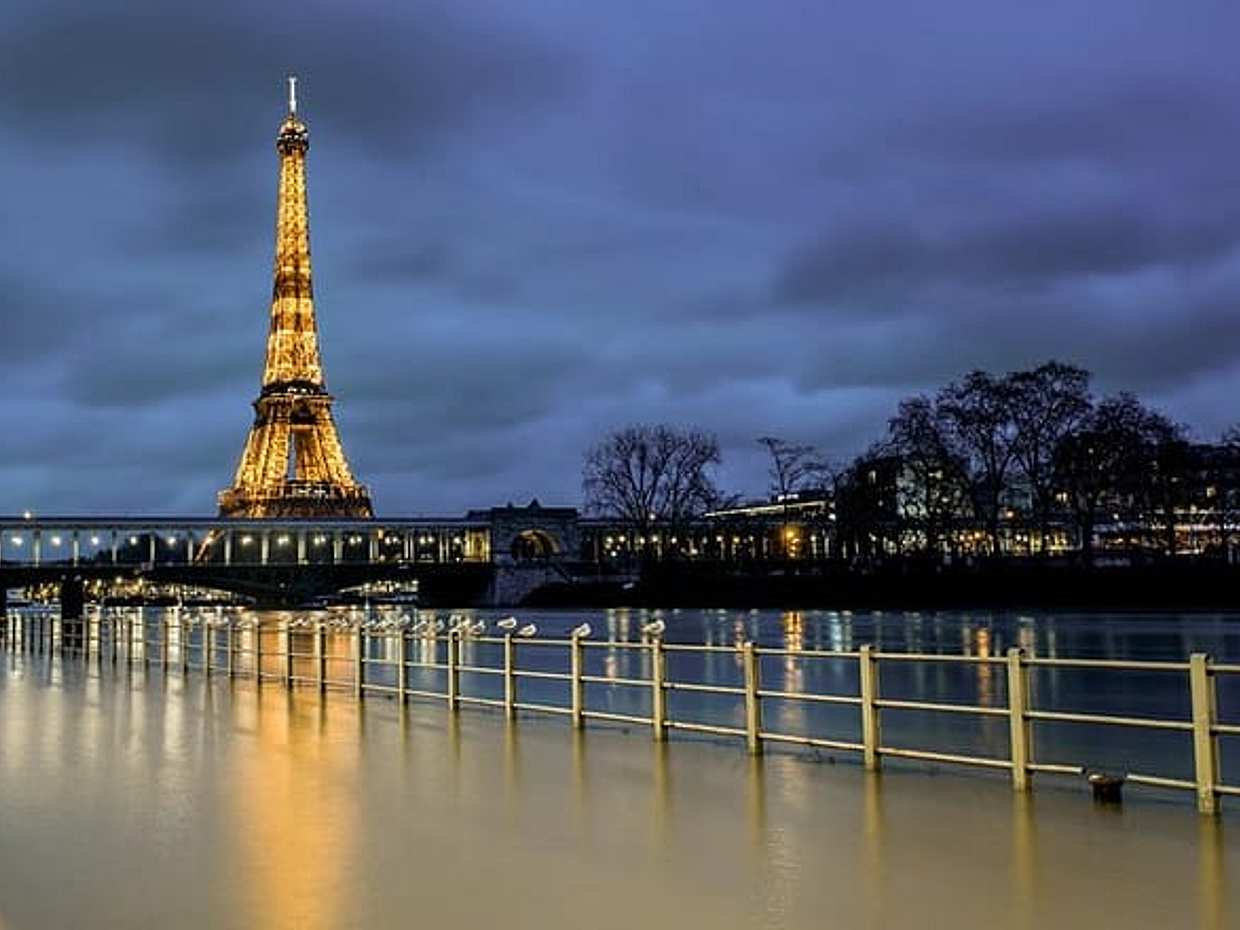 Half-Day Eiffel Tower and Seine River Cruise Private Tour, photo 5