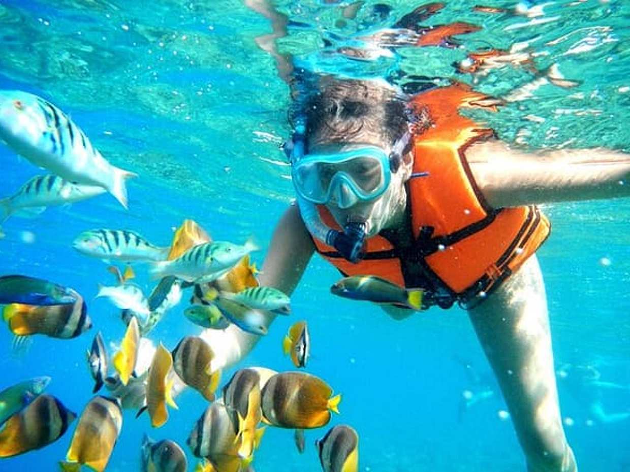Puerto Morelos Outdoor Activity Experience in Mexico, photo 4