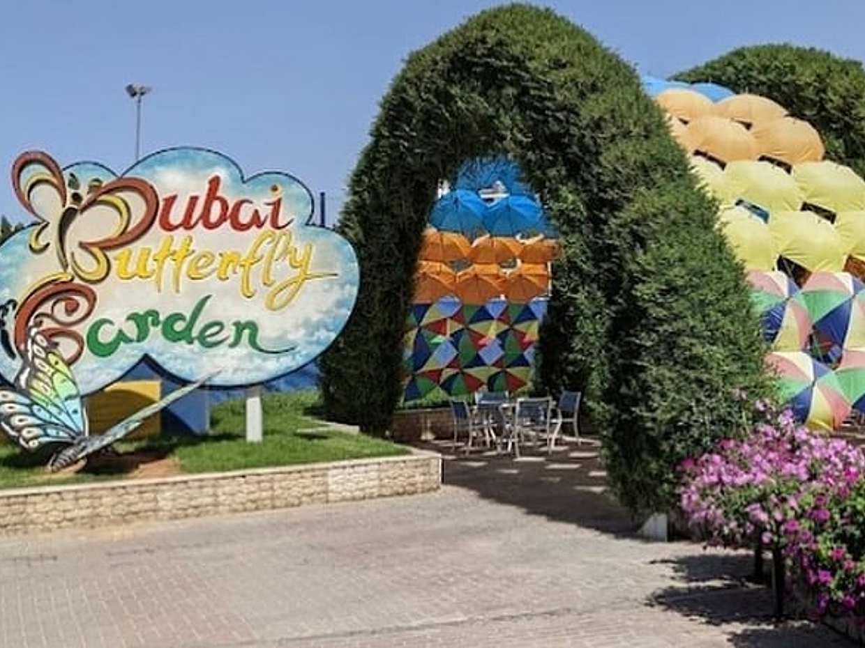 Dubai Butterfly Garden Entrance Ticket, United Arab Emirates
