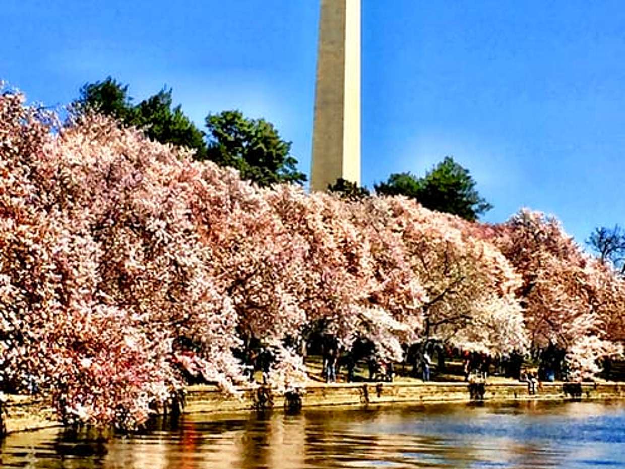 WASHINGTON D C LUXUSNÍ SOUKROMÁ PROHLÍDKA., Spojené státy, photo 2