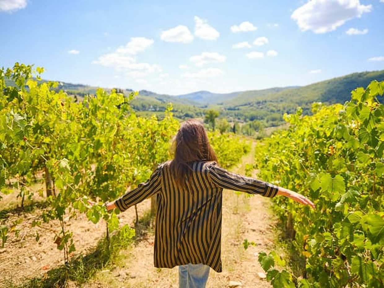 Private Half-Day Tour from Florence to Chianti Wine Region
