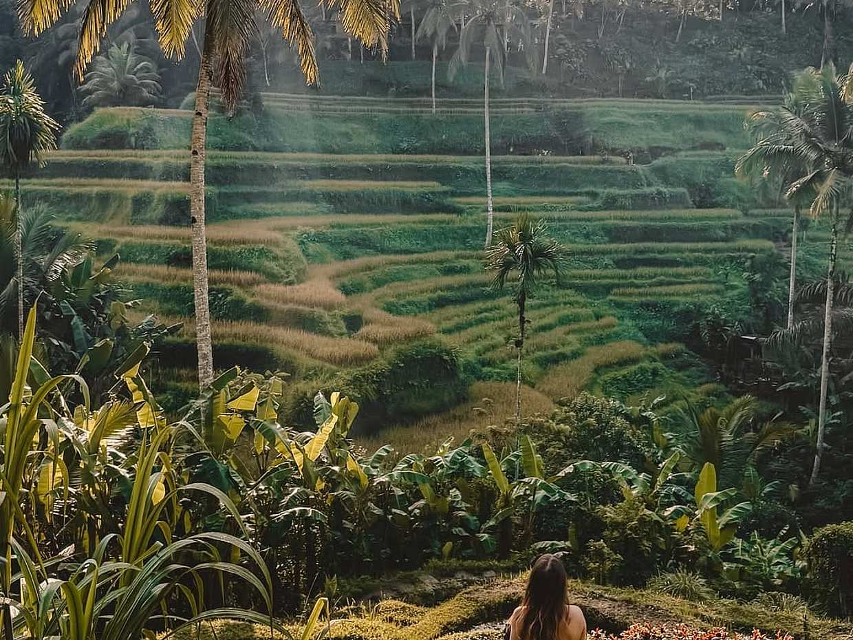 <p>Bali: Ubud Tour – Natur, Kultur & ikonische Erlebnisse in Indonesien</p>, photo 3