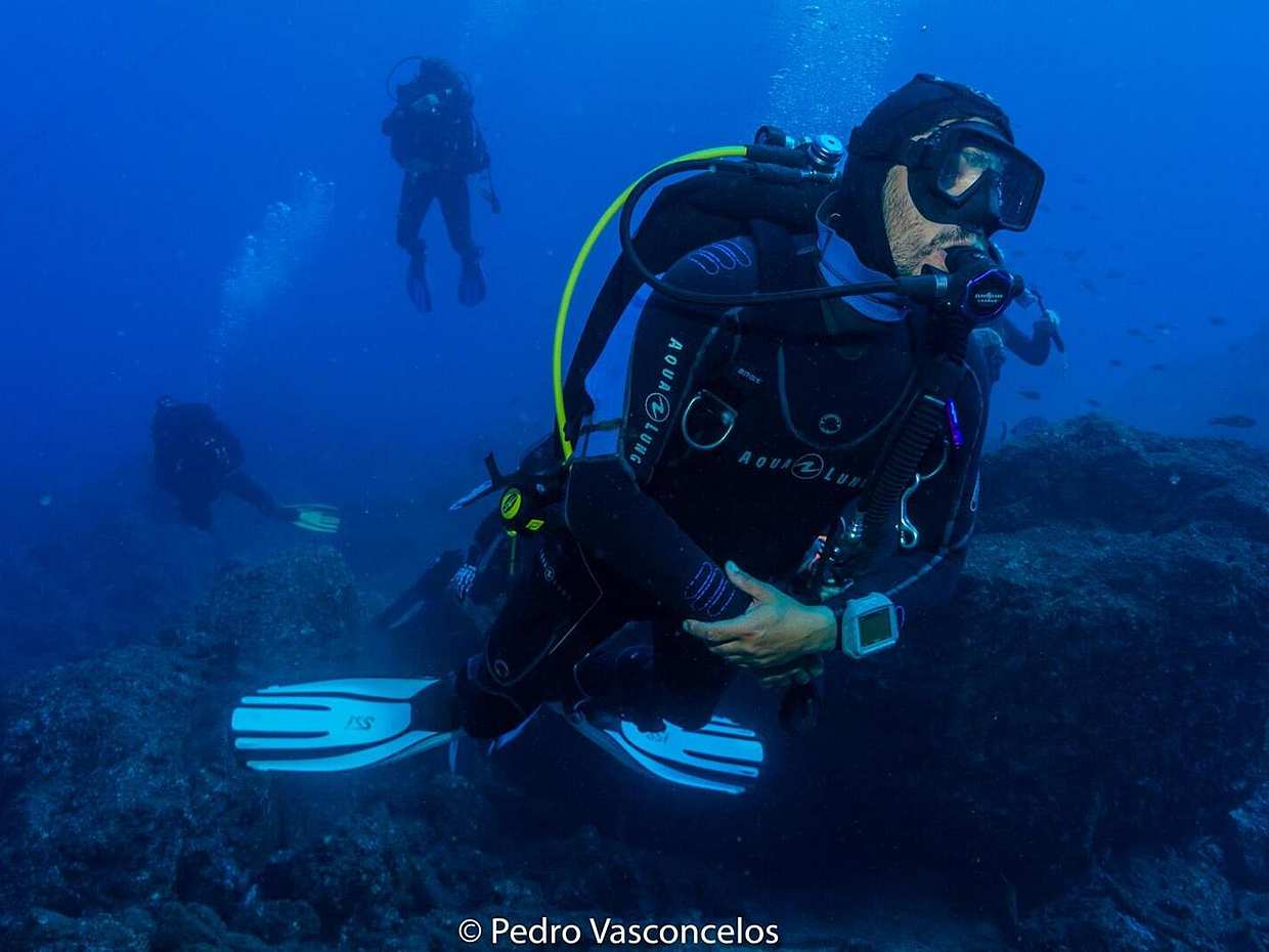 Become a Certified Open Water Diver from Madeira- Your Underwater Adventure Starts Here! in Portugal, photo 3