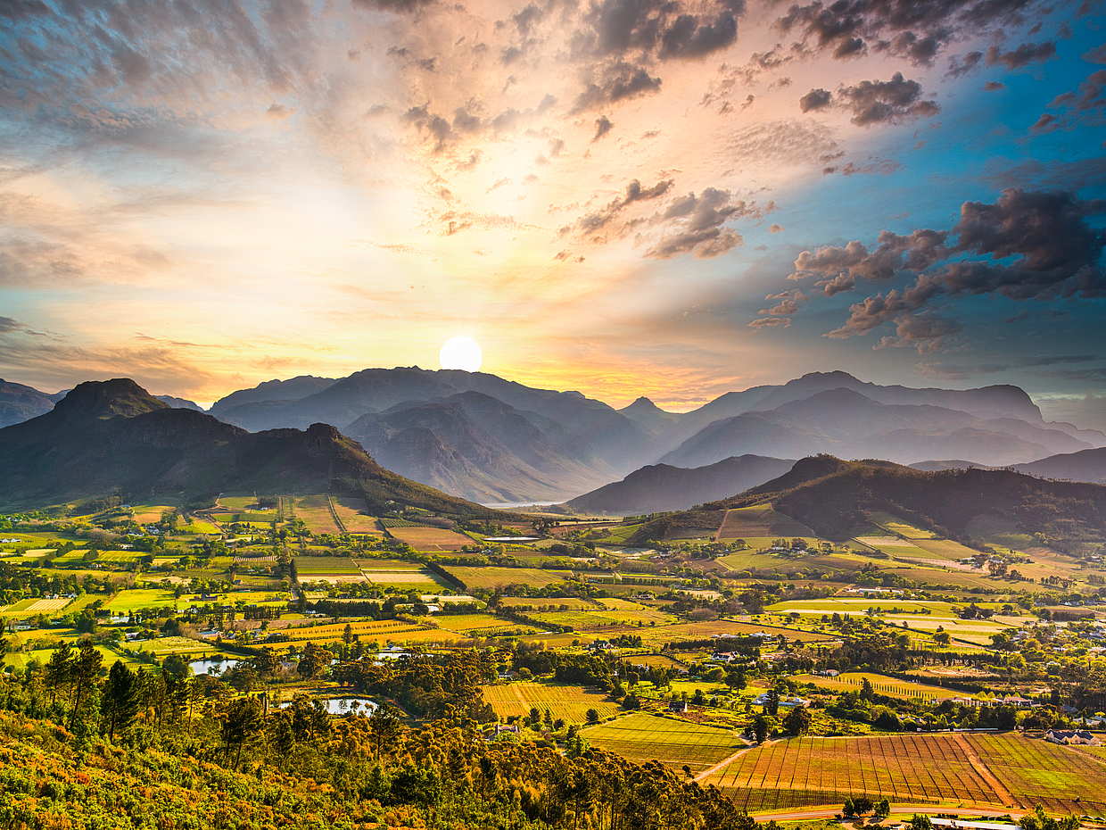 Pour les couples : Circuit privé parfait d'une demi-journée avec Cape Winelands, Stellenbosch au Cap, Afrique du Sud, photo 2
