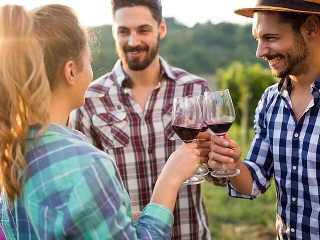 Private Chianti Wine Tasting & Scenic Florence Drive – Half-Day Tour from Florence, photo 2