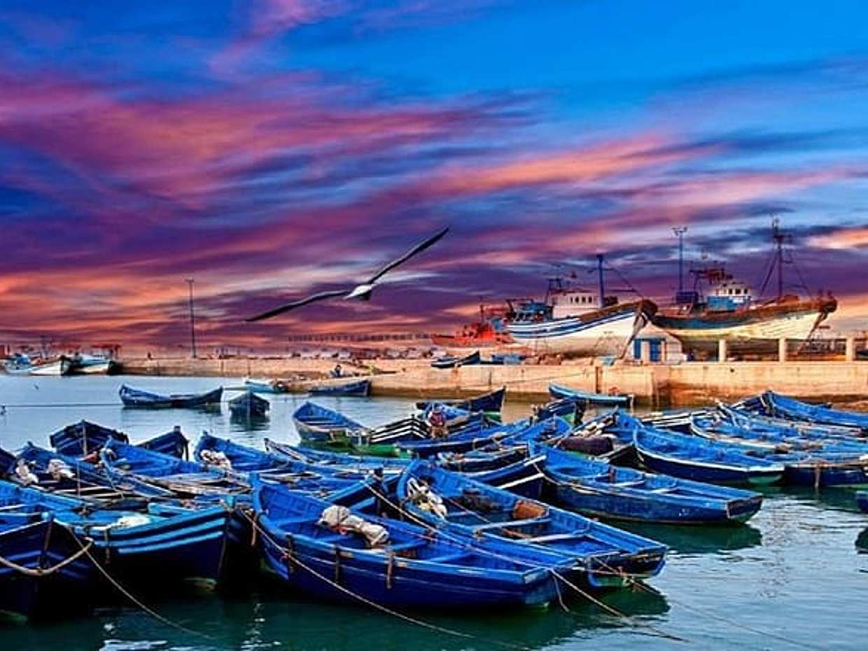 Essaouira Mogador Shared Day Trip from Marrakech, photo 4