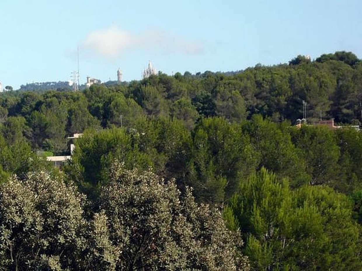 Barcelona Tour Contrasts 4 hours -Reduced group pick up hotel from Barcelona, photo 4
