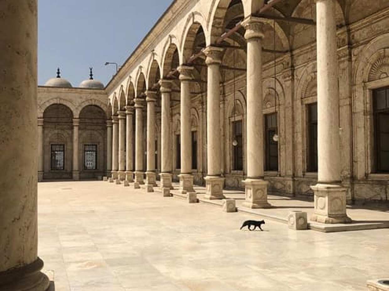 Cairo Highlights: Museum, Citadel & Old City, photo 3
