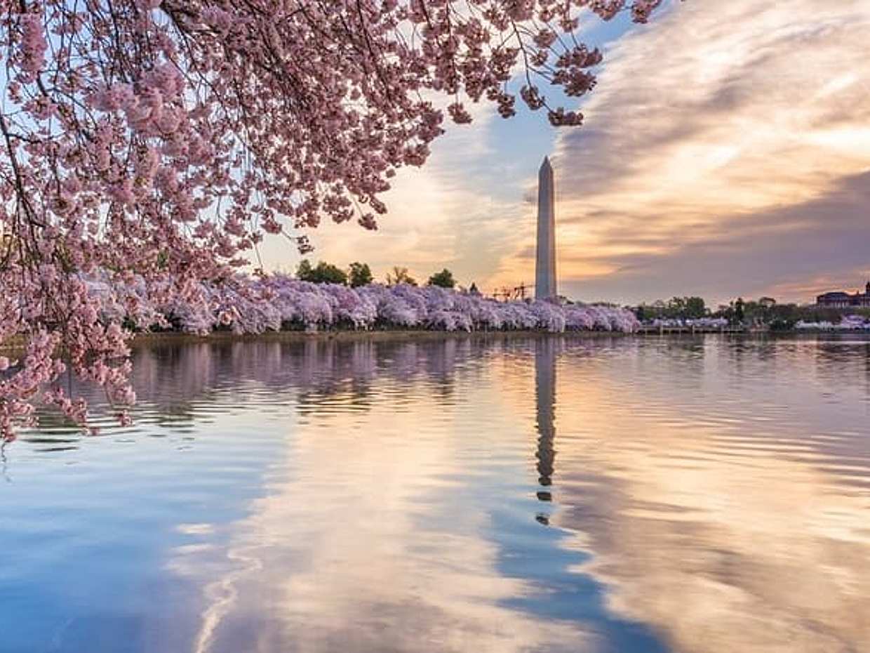 Washington DC Scavenger Hunt & Self-Guided Walking Tour