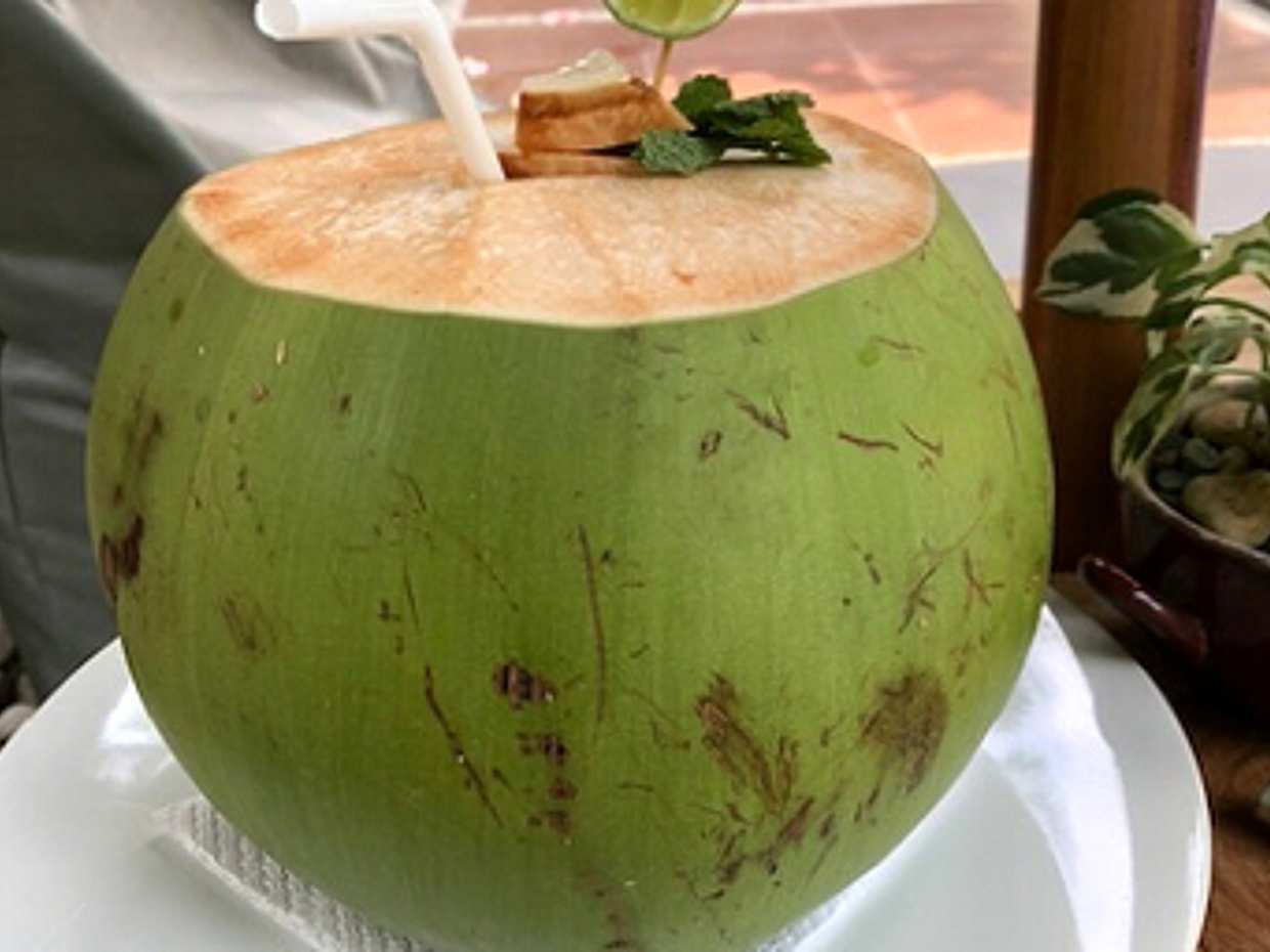 Retiro de 6 dias de Astrologia Védica da Mente e da Alma em Bali, photo 5