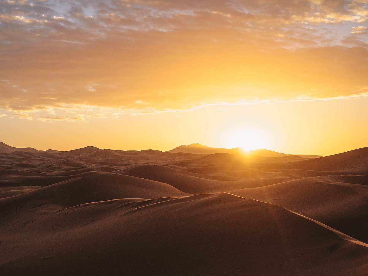 Overnight in Desert Safari Camp in Qatar, Doha