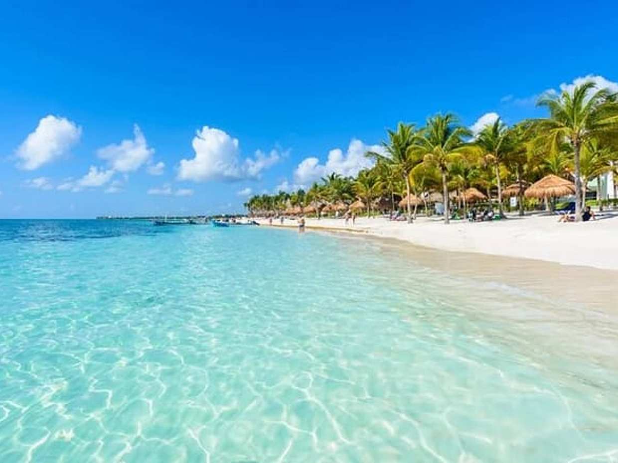 Full Day Tour Snorkeling with Turtles in Akumal, Tulúm and Playa del Carmen, photo 2