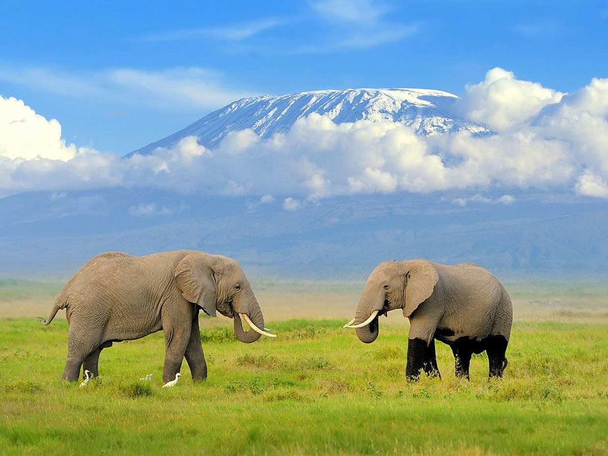 6 Daуs Amboseli, Lake Nakuru and Maasai Mara Safari in Kenya, Nairobi, photo 4