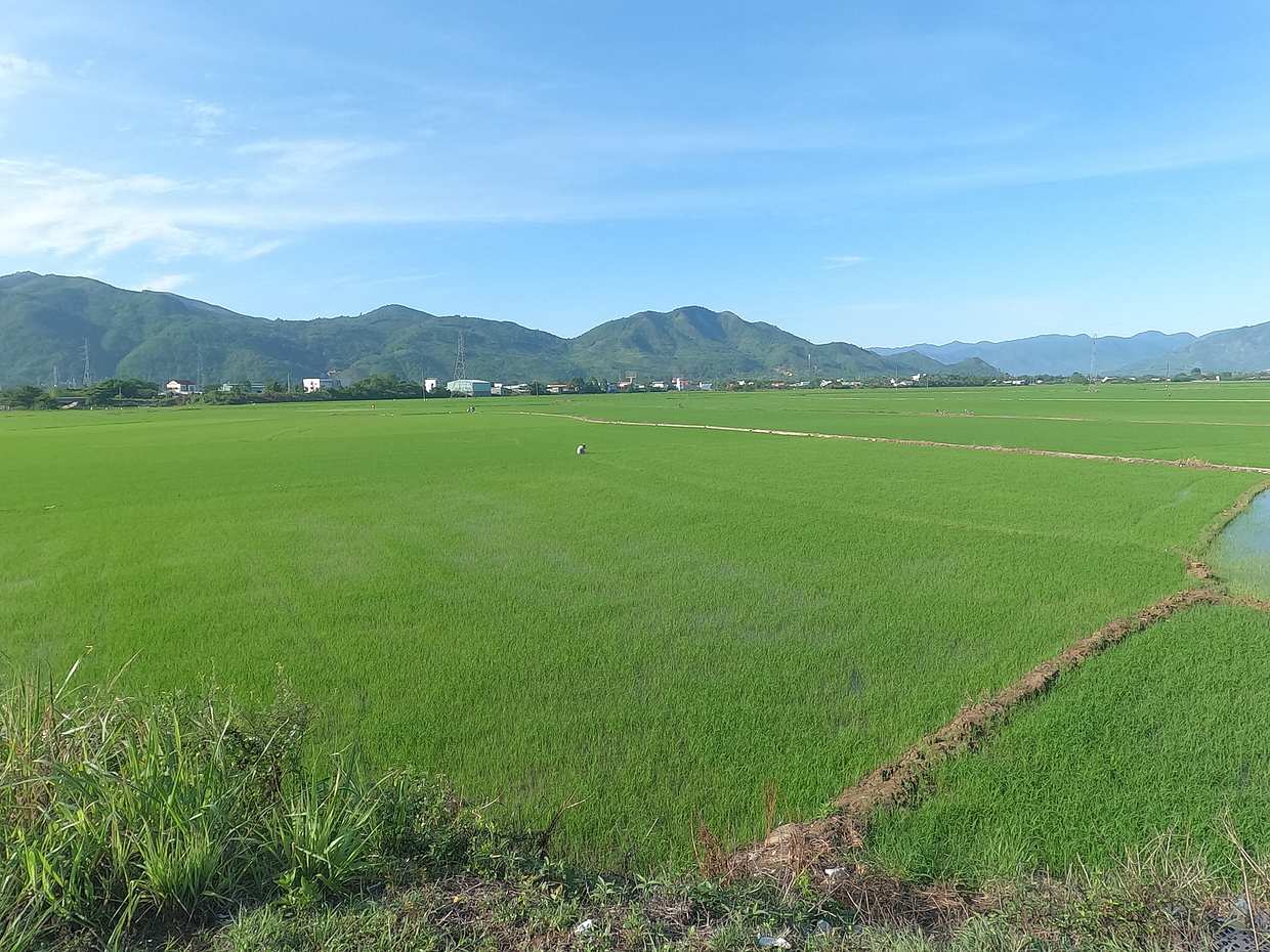 Nha Trang Countryside Private Tour in Vietnam, photo 3