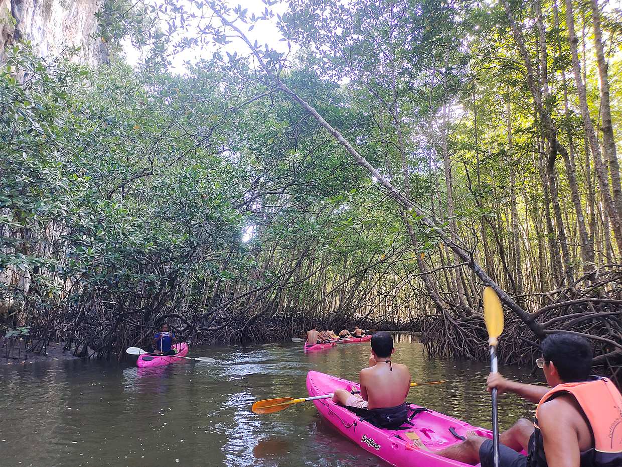 Kayak a primera hora en Ao Thalane, Tailandia, Krabi.
, photo 3