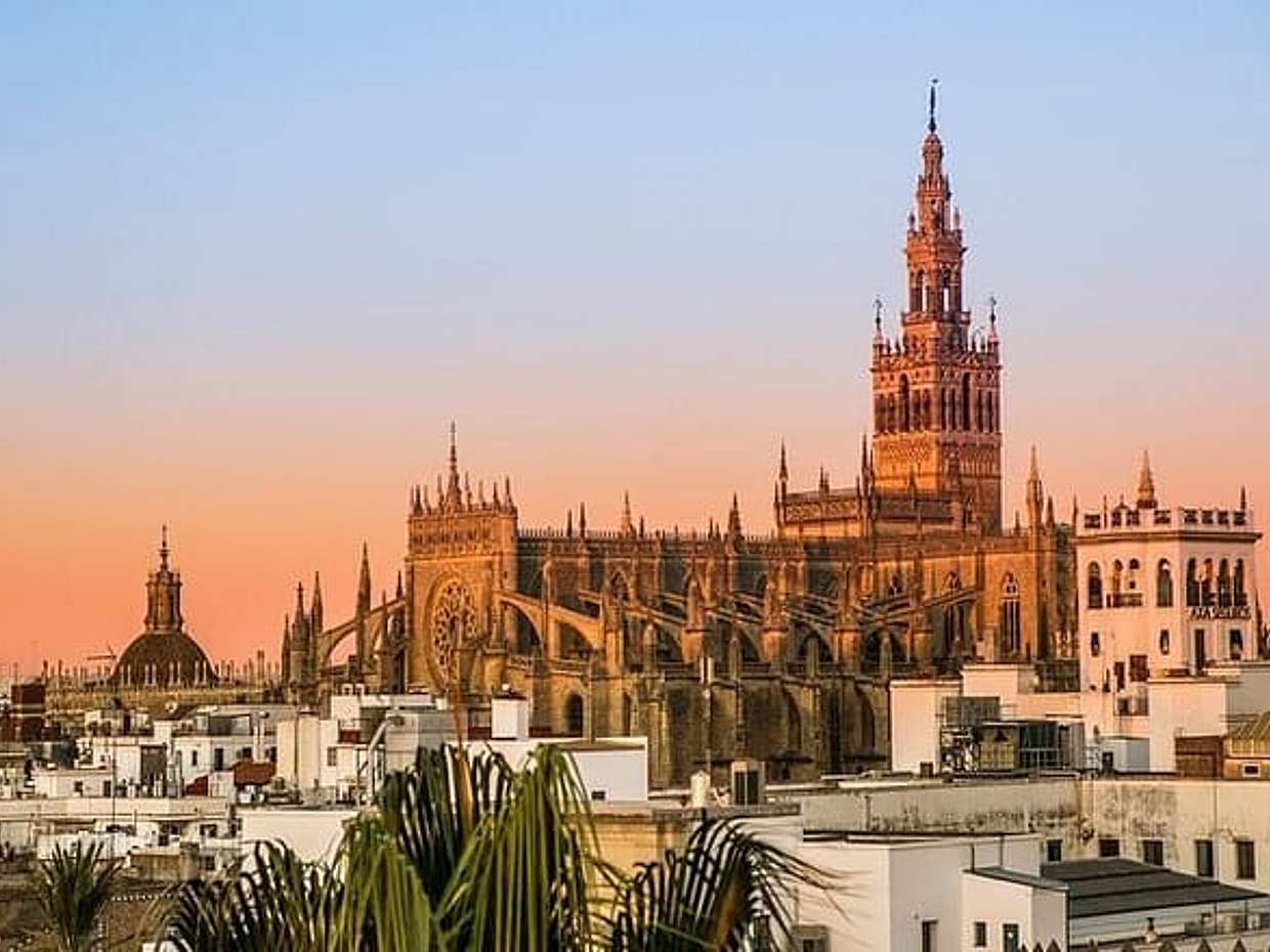 Tour through the Iberian ham drying room and Seville - pick up at the Hotel, photo 4