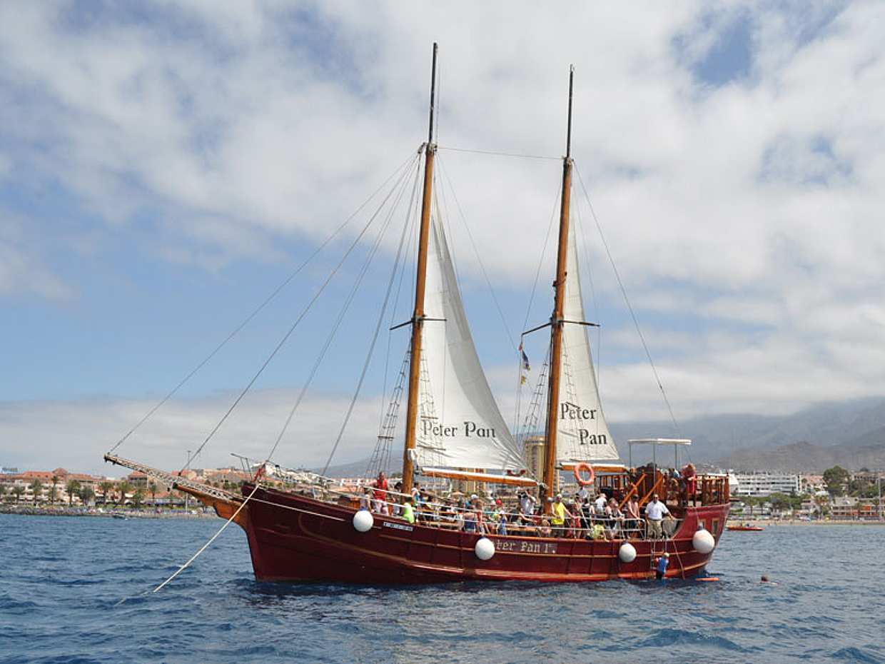 Tour with Whale Watching in Tenerife Peter Pan Boat in Spain