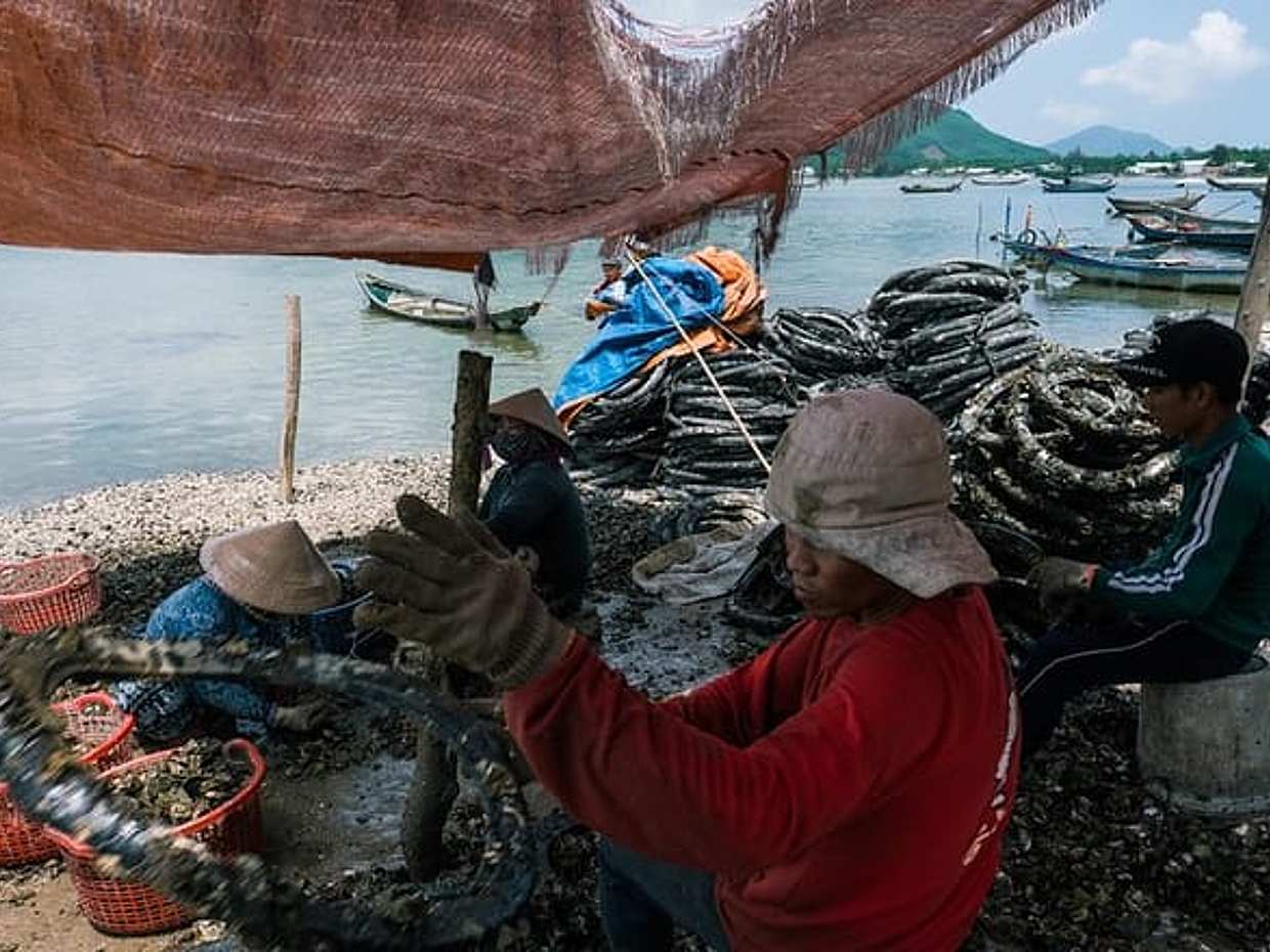"Tour fotográfico del paso de Hai Van en Vietnam, Da Nang"., photo 5