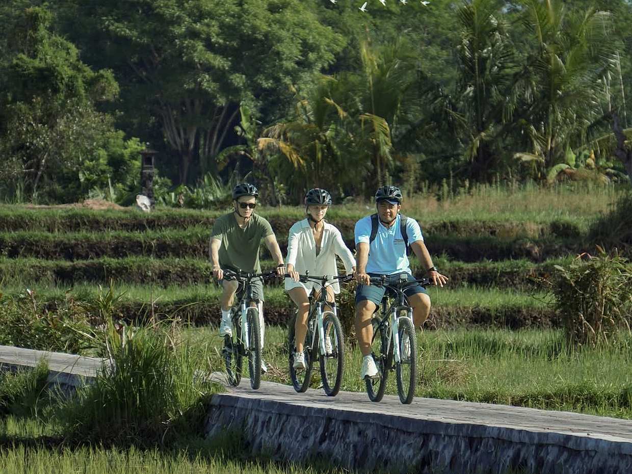 Bali: Kintamani a Ubud Ciclismo em Descida na Indonésia