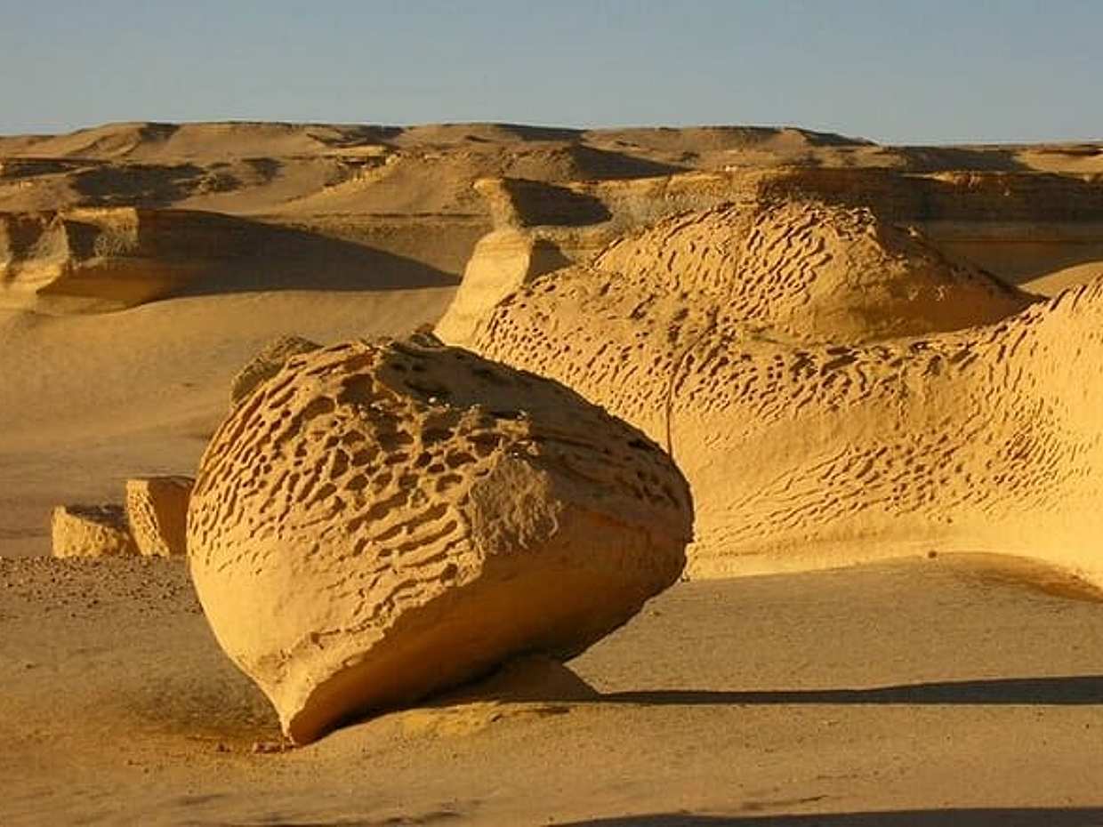 Private Tour Fayoum Oasis & WATERFALLS & Sandboarding with LUNCH, photo 5