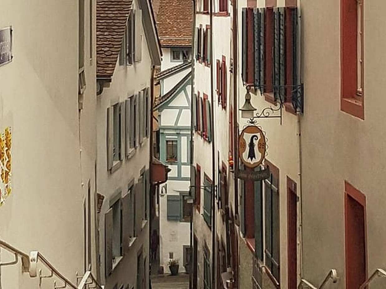 Scopri il Fascino di Basilea: Esclusivo Tour Privato a Piedi in Svizzera, Binningen, photo 5