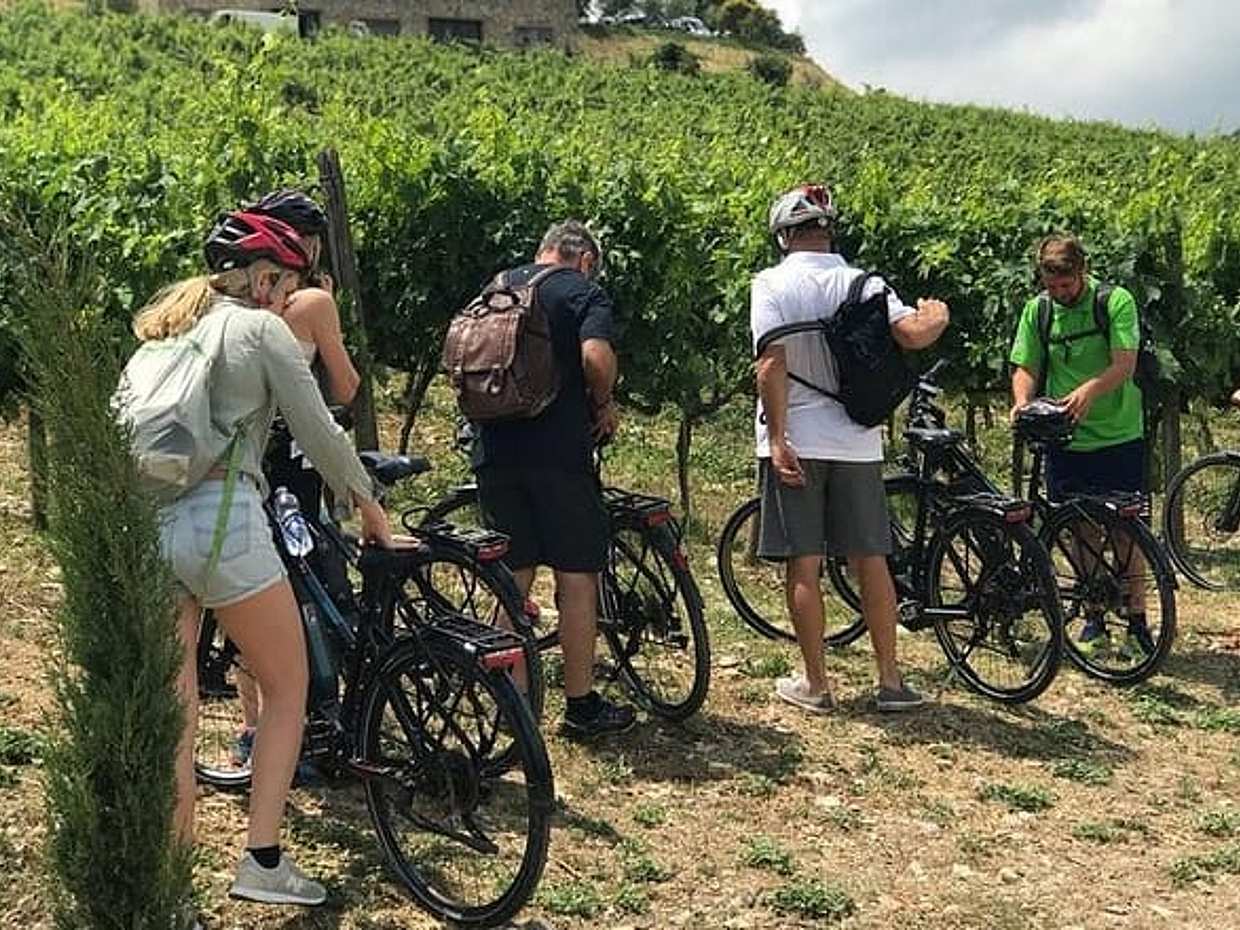 Recorrido en bicicleta por Chianti desde Florencia, Italia