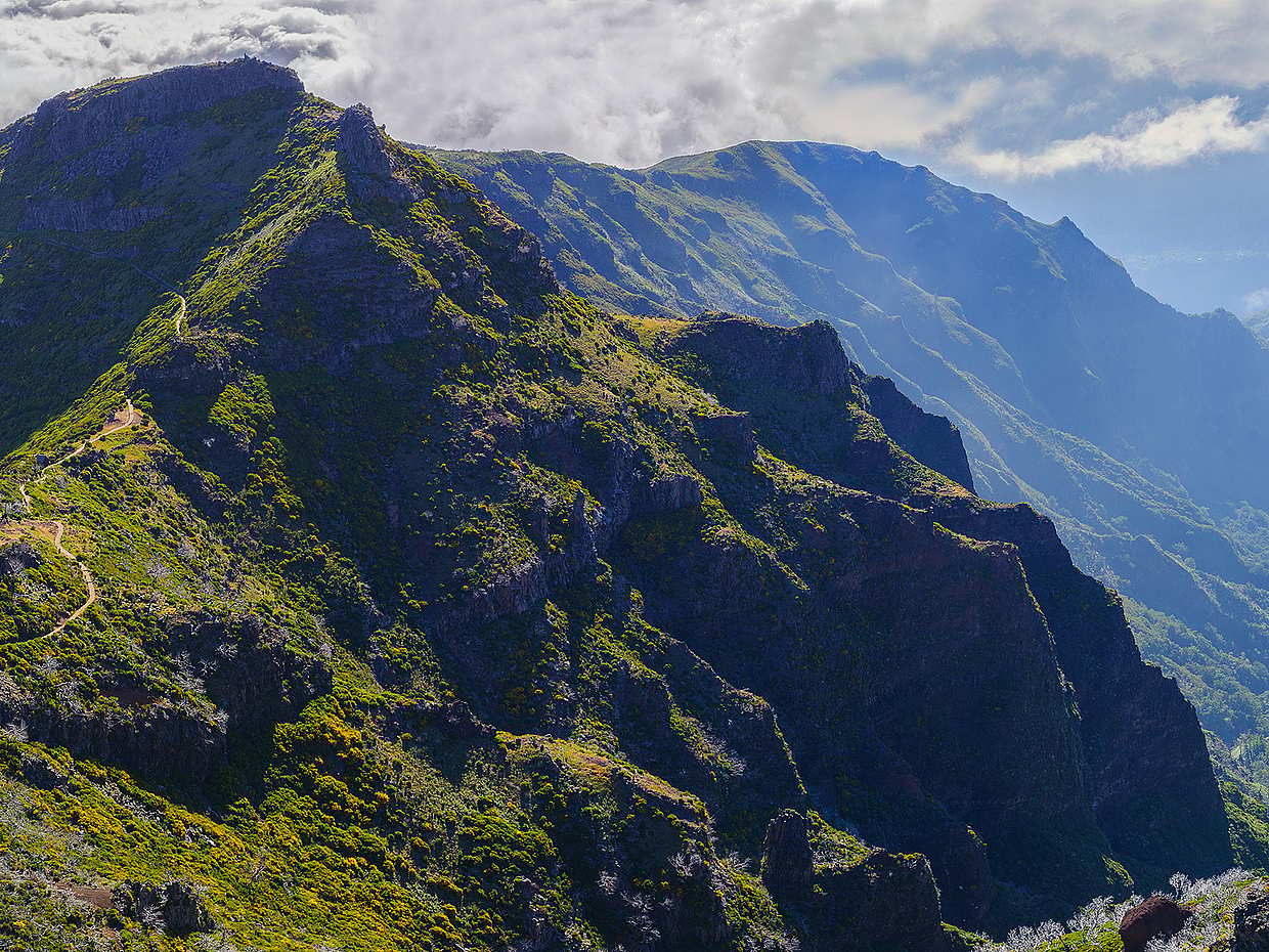 Madeira Peaks Excursión de senderismo de día completo en Portugal, Funchal
, photo 3