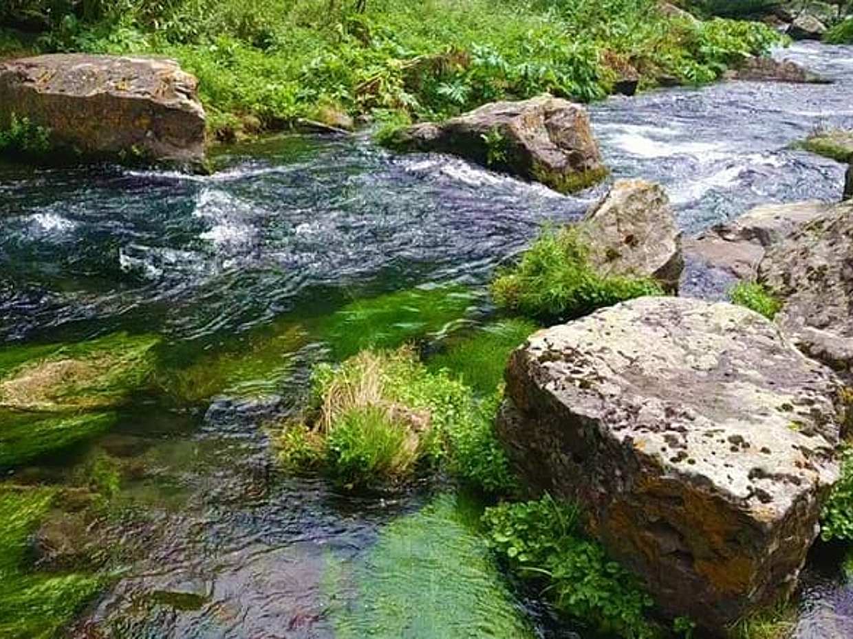 Rybaření z Tbilisi v Gruzii