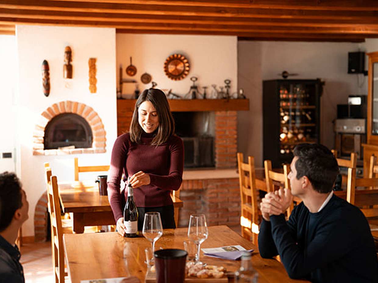 Lake Garda: Authentic Winery Tour with Local Producers