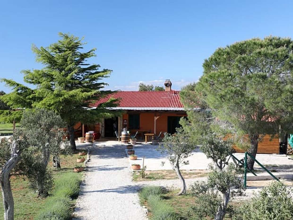 Croatia Gastro Experience: Private Nin and the Royal Vineyards - from Zadar, photo 5