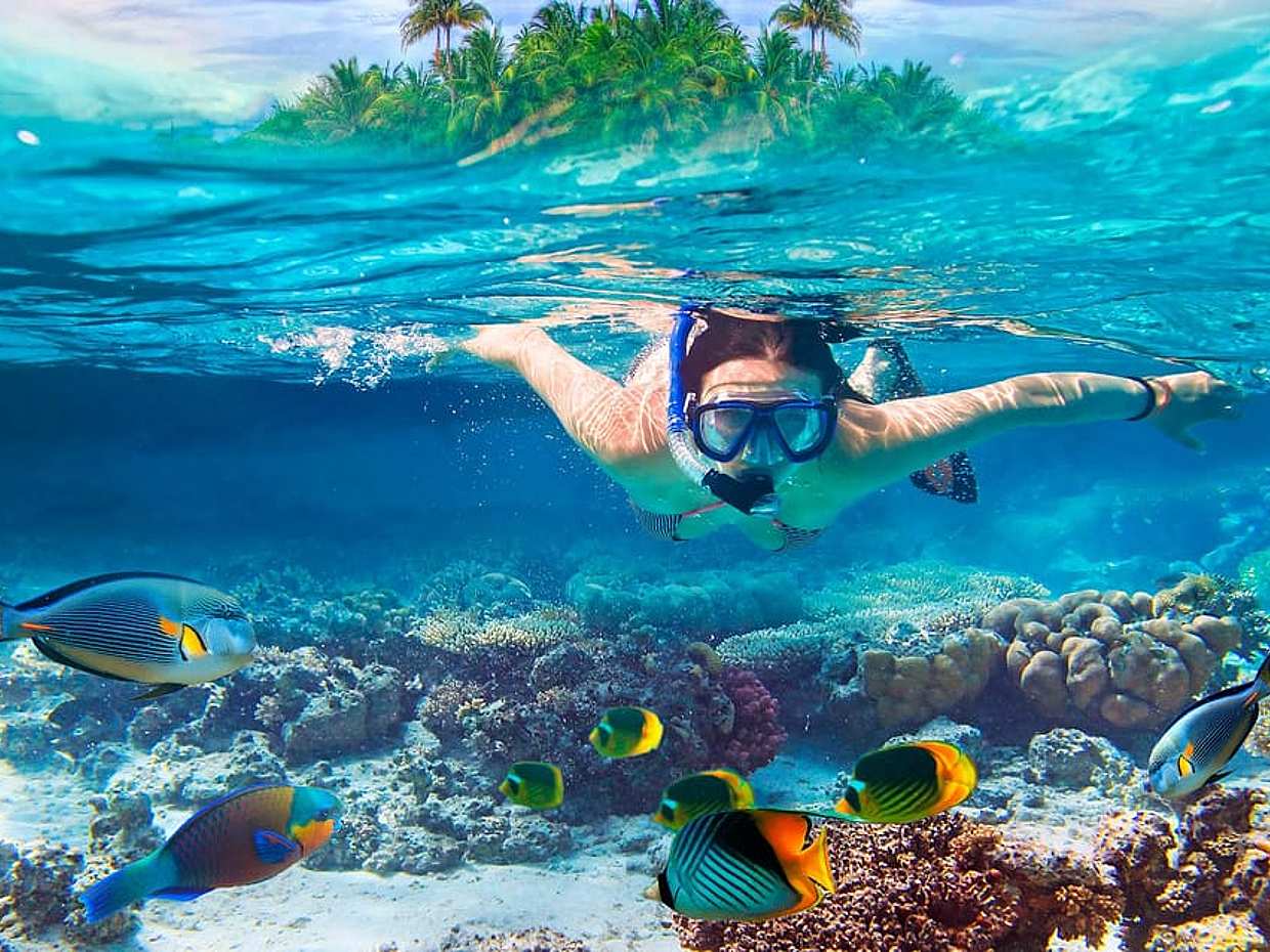 Zanzibar: Mnemba Island Snorkeling and Swimming with Dolphin in Tanzania