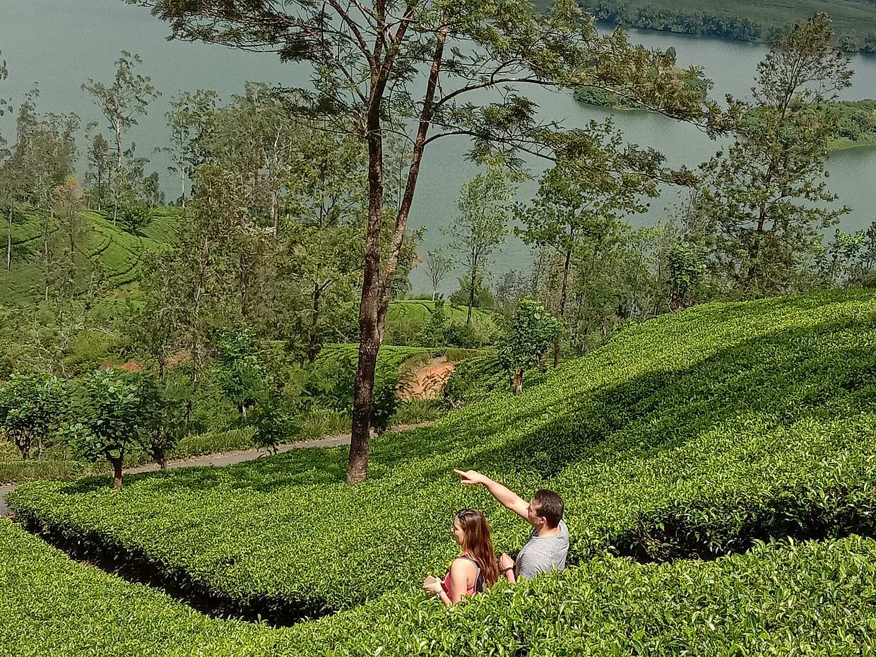 2-day Adam's Peak Private Hiking Tour in Sri Lanka, Kandy