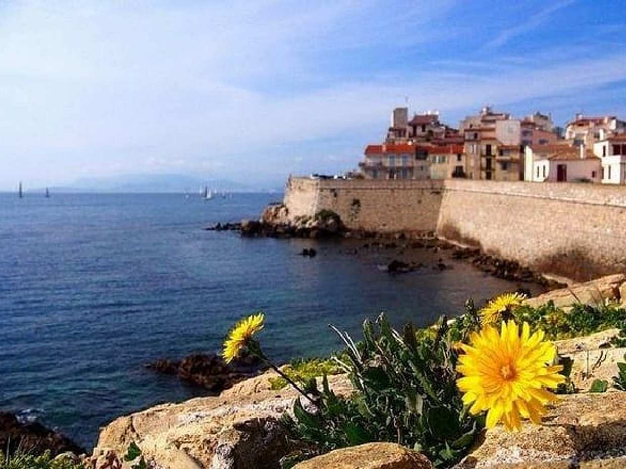 Shore Excursion to Grasse, Antibes & St Paul de Vence from Cannes, photo 2