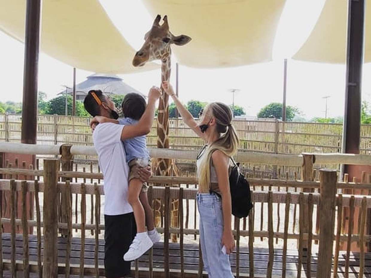 Dubai Safari Park in United Arab Emirates, photo 4