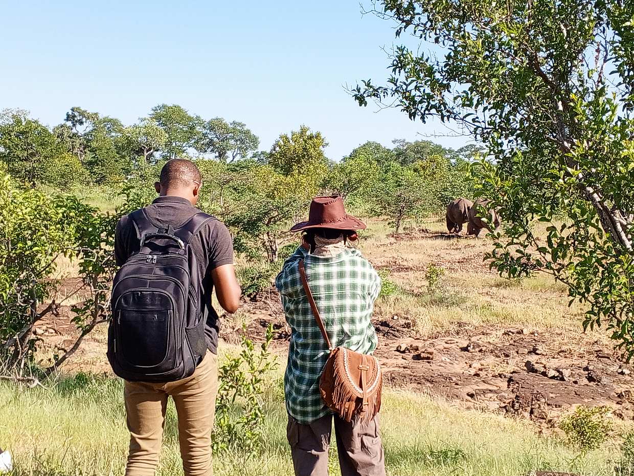 `<p>Game Drive &amp; Rhino Encounter Safari στην Ζάμπια, Λίβινγκστον</p>`, photo 2