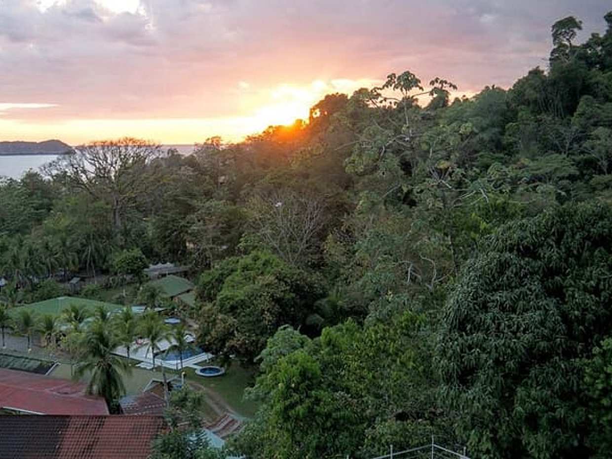 Private Transfer From Limon to San Jose With 2 Stops in Costa Rica, photo 4