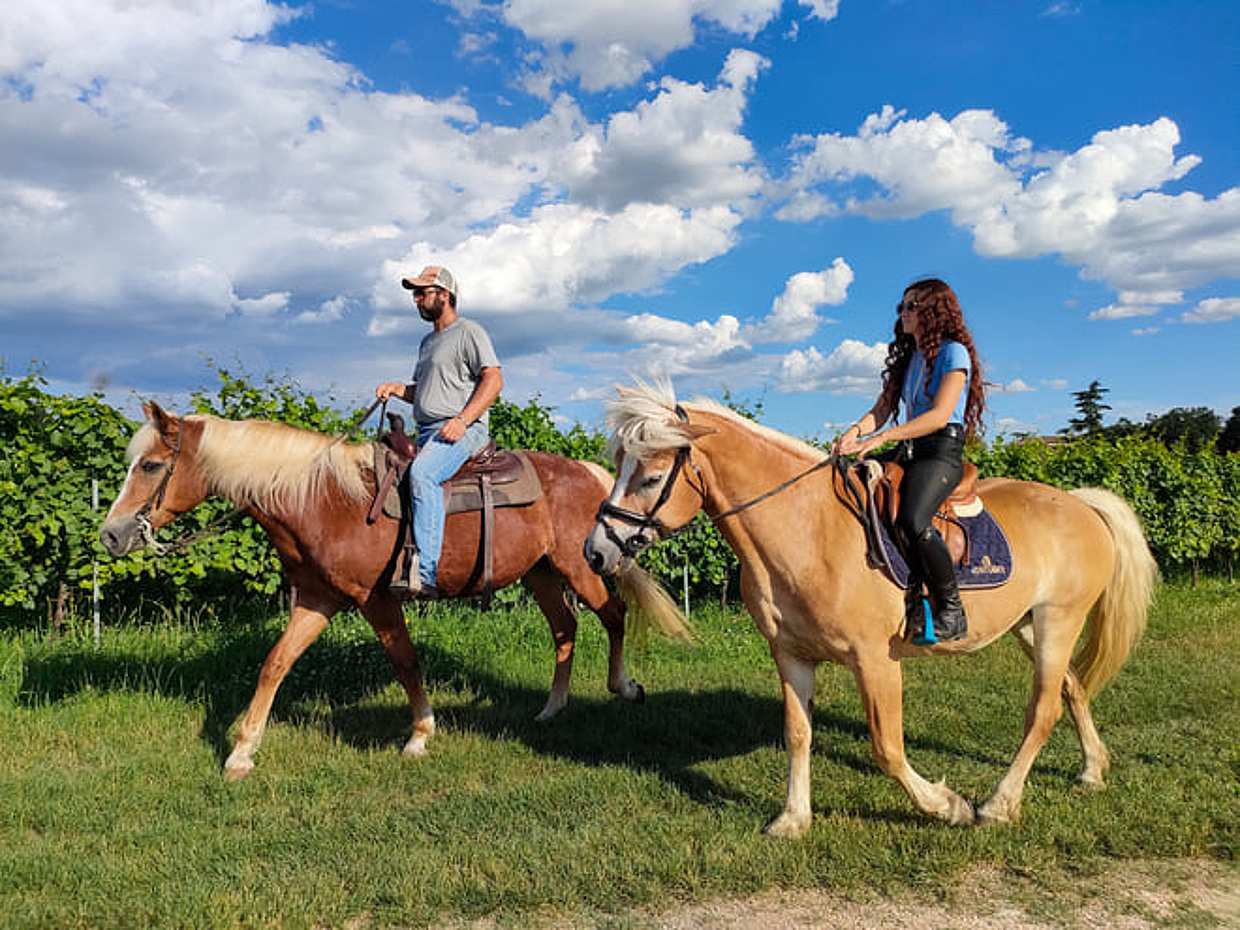 2 hours Horseback Ride in Lake Garda countryside, photo 2