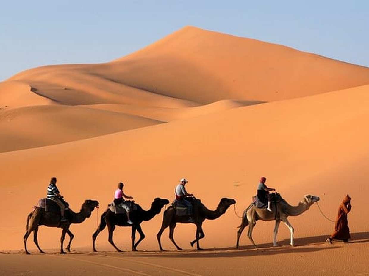 Camel Trekking In Abu Dhabi with Transfer, Fun and More, photo 2