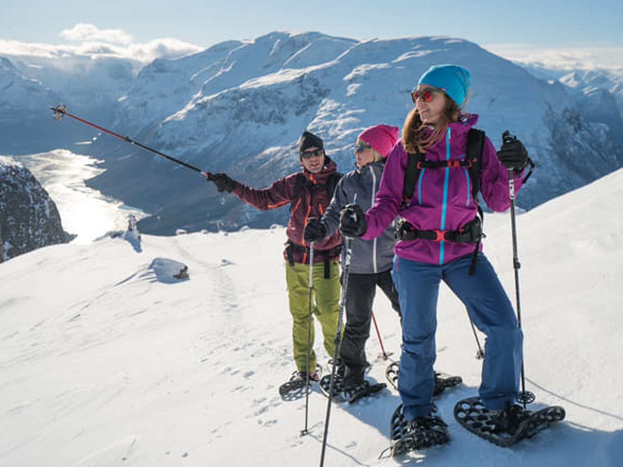 Day Trip - Snowshoeing in Bodø, Northern Norway, photo 3