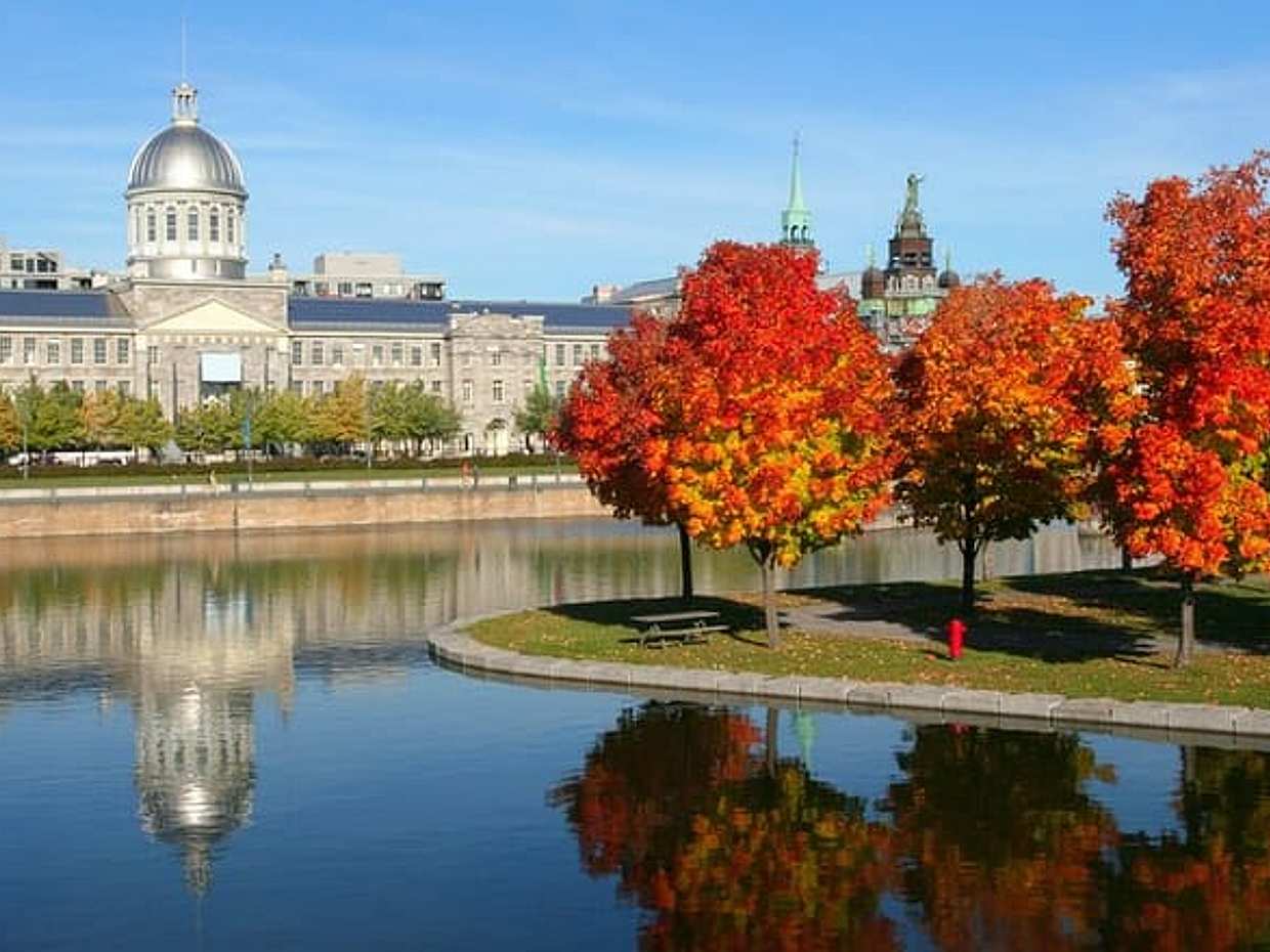 Montreal Scavenger Hunt & Highlights Zelfgeleide Wandeltour in Canada, Montréal, photo 2