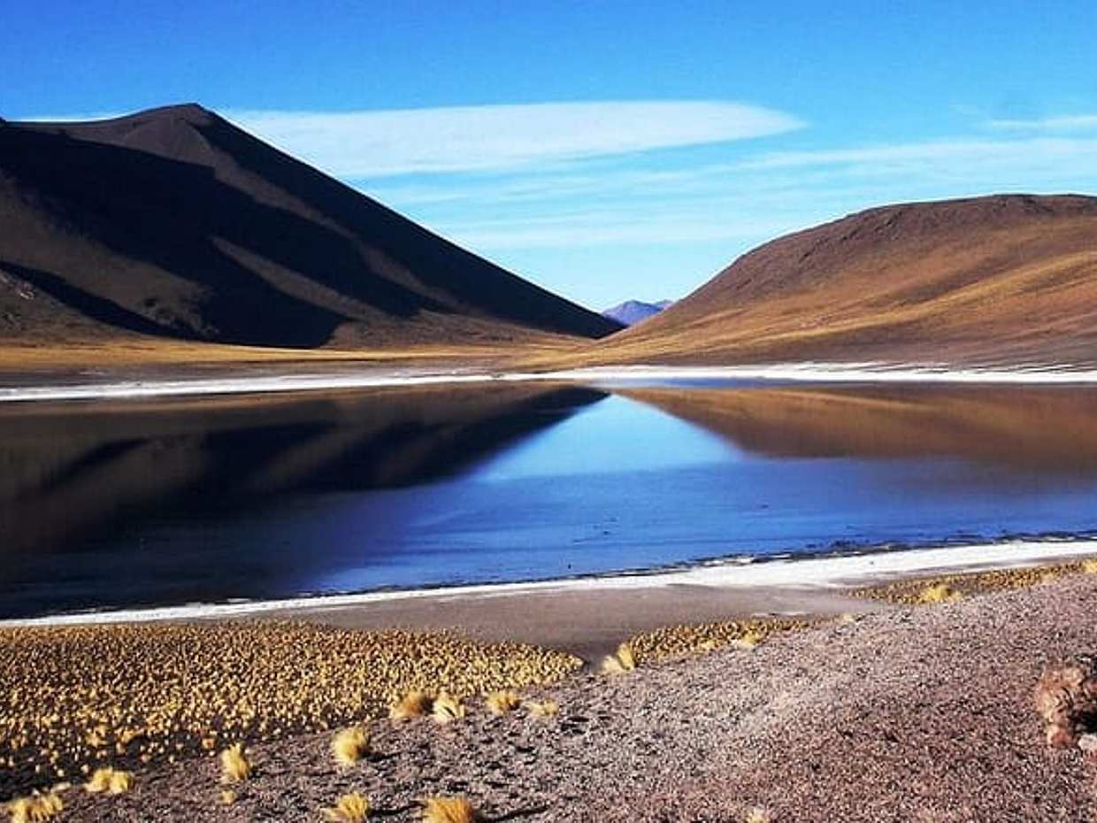 San Pedro de Atacama, Altiplanische Lagunes en Piedras Rojas - Volledige dag, Chili