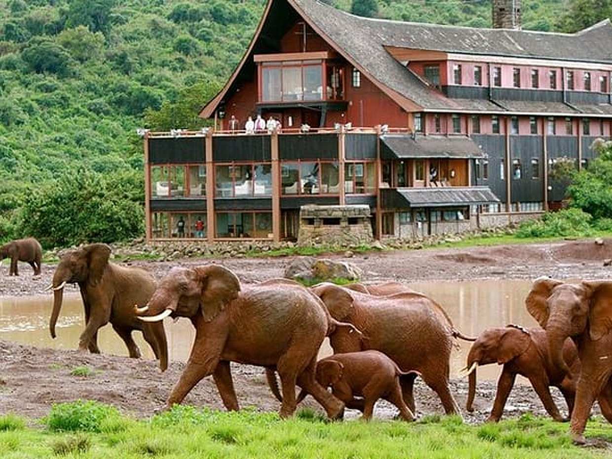 9-Days Best of Kenya's Wildlife Private Safari, photo 2