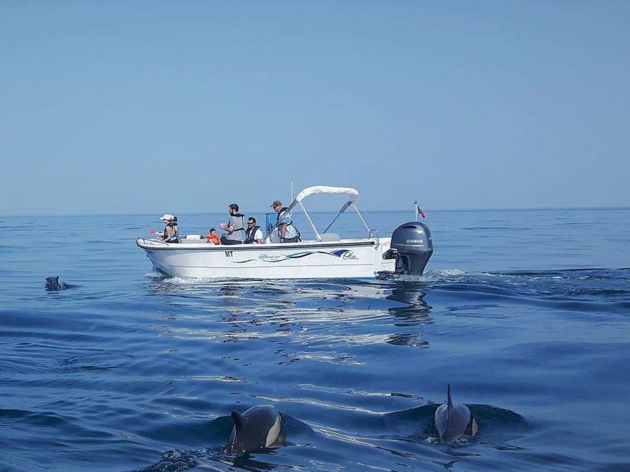 Algarve Dolphin Watching Tour in Faro, Portugal, photo 2
