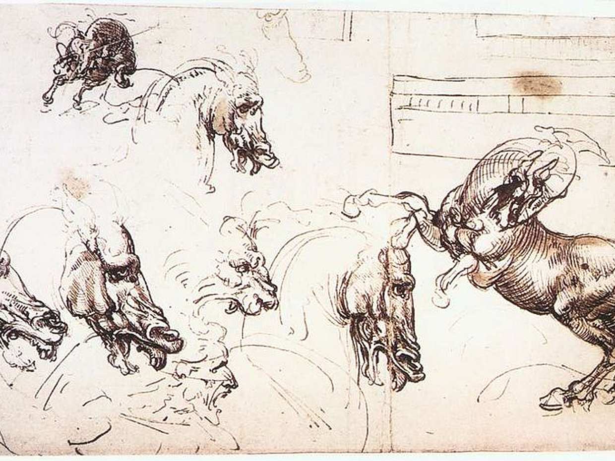 Leonardian Drawings in Italy, Florence